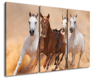 Obraz na plátně Cválající koně - 3 dílný Velikost: 90 x 60 cm