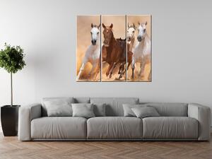 Obraz na plátně Cválající koně - 3 dílný Rozměry: 90 x 60 cm