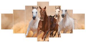 Obraz na plátně Cválající koně - 7 dílný Rozměry: 210 x 100 cm
