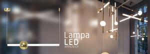 Toolight - LED stropní svítidlo 60cm 12W APP478-CP, zlatá-bílá, OSW-00610