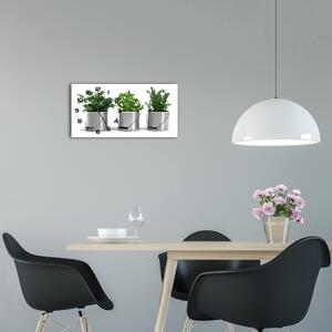 Skleněné hodiny na stěnu Aromatické rostliny pl_zsp_60x30_f_79250581