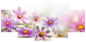 Obraz na plátně Jemné květy - 5 dílný Velikost: 150 x 100 cm