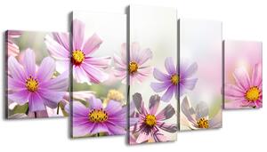Obraz na plátně Jemné květy - 5 dílný Velikost: 150 x 100 cm