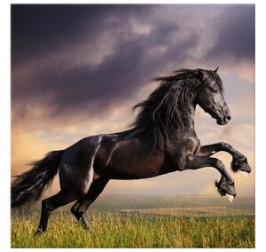 Obraz na plátně Silný černý kůň Rozměry: 90 x 60 cm