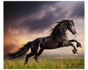 Obraz na plátně Silný černý kůň Rozměry: 115 x 55 cm