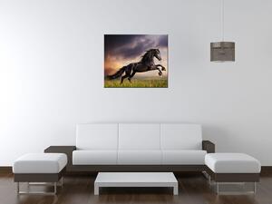 Obraz na plátně Silný černý kůň Rozměry: 115 x 55 cm