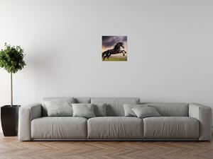 Obraz na plátně Silný černý kůň Rozměry: 60 x 40 cm
