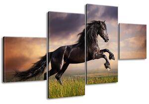 Obraz na plátně Silný černý kůň - 4 dílný Velikost: 160 x 90 cm