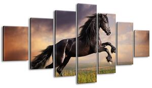 Obraz na plátně Silný černý kůň - 7 dílný Rozměry: 140 x 80 cm