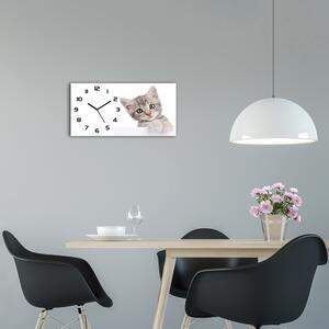 Moderní skleněné hodiny na stěnu Šedá kočka pl_zsp_60x30_f_80791907