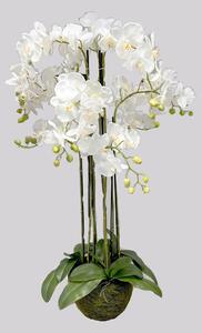 Orchidea v balu x9 125 cm