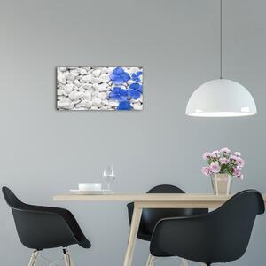 Moderní skleněné hodiny na stěnu Hortensje pl_zsp_60x30_f_83867954