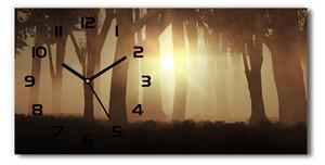 Skleněné hodiny na stěnu tiché Mlha v lese pl_zsp_60x30_f_84176608