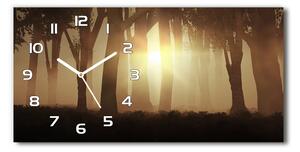 Skleněné hodiny na stěnu tiché Mlha v lese pl_zsp_60x30_f_84176608