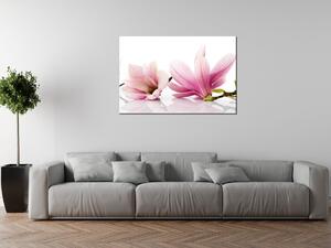 Obraz na plátně Růžové magnólie Rozměry: 60 x 40 cm