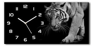 Moderní skleněné hodiny na stěnu Tygr pl_zsp_60x30_f_89533463