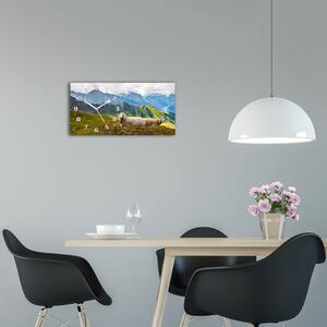 Skleněné hodiny na stěnu tiché Ovoce w Alpách pl_zsp_60x30_f_90327187
