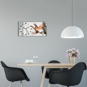 Moderní skleněné hodiny na stěnu Veverka pl_zsp_60x30_f_97008260