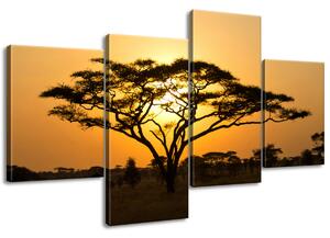 Obraz na plátně Akácie v Serengeti - 4 dílný Velikost: 120 x 70 cm