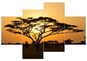 Obraz na plátně Akácie v Serengeti - 4 dílný Rozměry: 120 x 70 cm