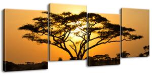 Obraz na plátně Akácie v Serengeti - 4 dílný Rozměry: 120 x 70 cm