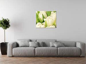 Obraz na plátně Jemné tulipány Rozměry: 90 x 60 cm