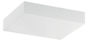 LED nástěnné světlo Regolo, délka 16,3 cm, bílá