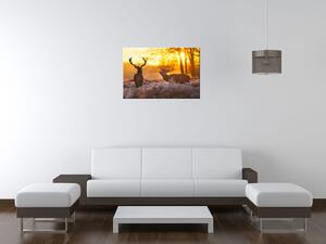 Obraz na plátně Jeleni na louce Rozměry: 100 x 70 cm