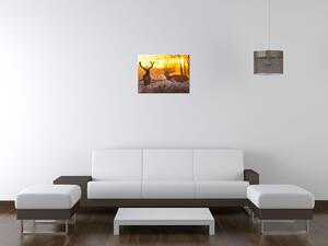 Obraz na plátně Jeleni na louce Rozměry: 100 x 70 cm