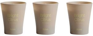 Kave Home Set tří vonných svíček Bright Citrus 50 g