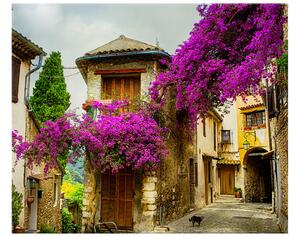 Obraz na plátně Staré město v Provence Rozměry: 50 x 50 cm