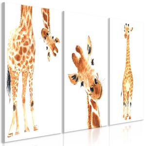 Obraz zábavné žirafy - Funny Giraffes