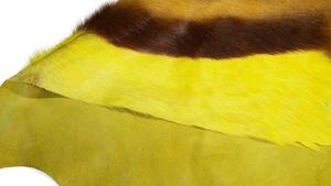 ARCTIC FUR Předložka z africké Antilopy skákavé SPRINGBOK, barvená, žlutá
