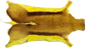 ARCTIC FUR Předložka z africké Antilopy skákavé SPRINGBOK, barvená, žlutá