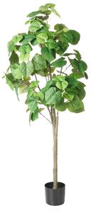 Umělá rostlina FICUS TREE 160 cm Zelená