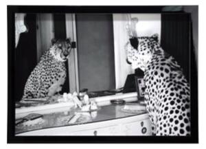 Obraz Cheetah - Zrcadlo Kler Accessories 1103858