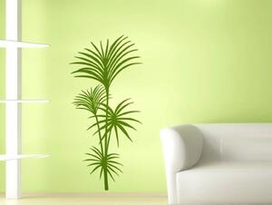 Samolepky na stěnu - Tropická palma - dekorace-steny.cz - 60 x 125 cm - 066