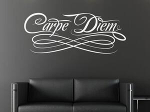 Dekorace na zeď - Carpe Diem - dekorace-steny.cz - 40 x 100 cm - 025