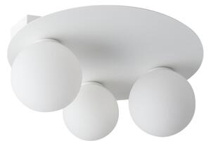 Stropní svítidlo ARGON 3xG9/12W/230V bílá