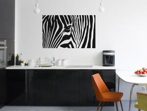 Nalepky na zed - Zebra - dekorace-steny.cz - 60 x 100 cm - 085