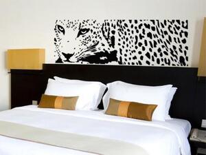 Samolepici dekorace - Leopard - dekorace-steny.cz - 40 x 130 cm - 190
