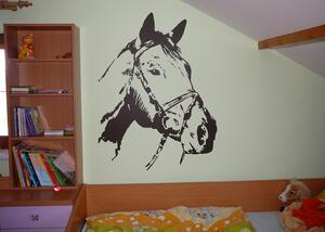 Dekorace na zeď - Hlava koně - dekorace-steny.cz - 60 x 75 cm - 188