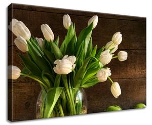Obraz na plátně Bílé tulipány Rozměry: 60 x 40 cm