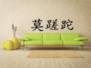 Dekorace-stěny Samolepky na zeď - Čínské znaky ''Carpe diem'' - 30 x 120 cm - 005