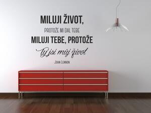 Samolepka na zeď - Miluji život - dekorace-steny.cz - 40 x 50 cm - 463
