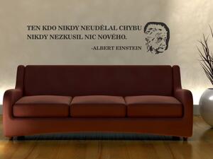 Samolepky na zeď - Albert Einstein - dekorace-steny.cz - 30 x 130 cm - 787