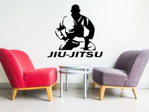 Dekorace-steny.cz - Samolepicí dekorace - Jiu - Jitsu silueta, 40 x 40 cm - 844