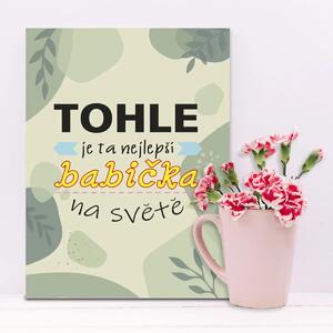 Sablio Dárková cedulka Tohle je ta nejlepší babička na světě: 30x40 cm