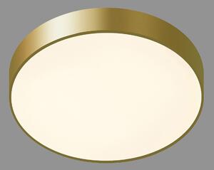 Italux 5361-830RC-GD-3 LED stropní svítidlo Orbital 1x30W | 1800lm | 3000K - zlatá, bílá