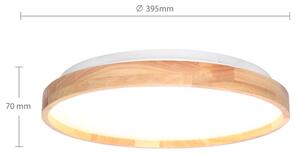 Brilagi - LED Stmívatelné stropní svítidlo ALSON LED/48W/230V 3000-6500K + DO